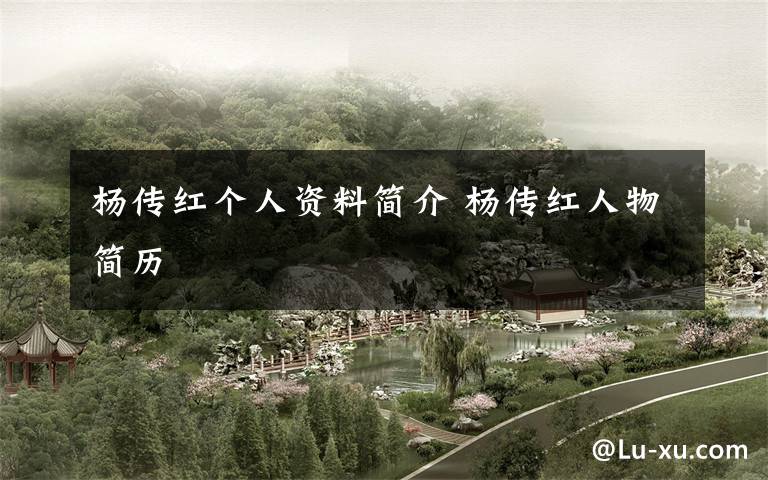 杨传红个人资料简介 杨传红人物简历