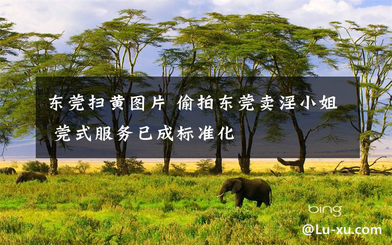 东莞扫黄图片 偷拍东莞卖淫小姐 莞式服务已成标准化