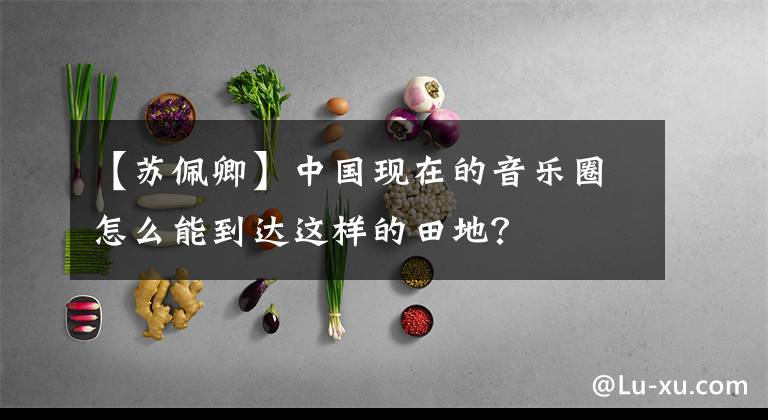 【苏佩卿】中国现在的音乐圈怎么能到达这样的田地？