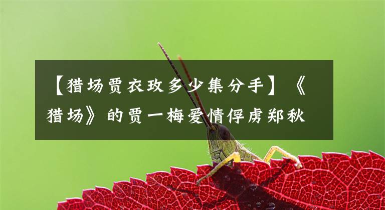 【猎场贾衣玫多少集分手】《猎场》的贾一梅爱情俘虏郑秋冬,如何避免职场办公室恋情的危害?