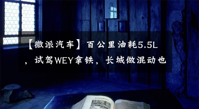 【微派汽车】百公里油耗5.5L，试驾WEY拿铁，长城做混动也这么强