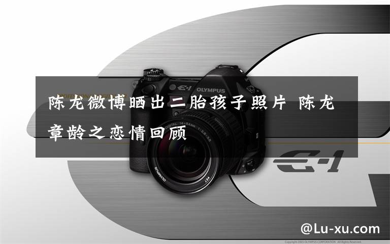 陈龙微博晒出二胎孩子照片 陈龙章龄之恋情回顾