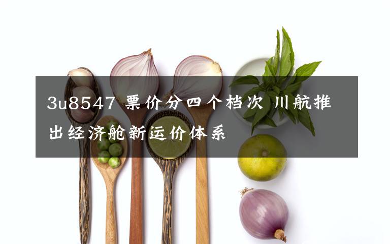 3u8547 票价分四个档次 川航推出经济舱新运价体系