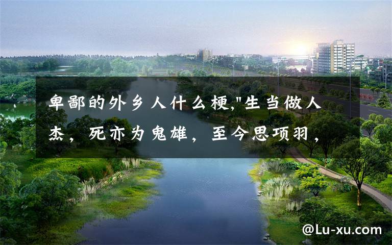 卑鄙的外乡人什么梗,