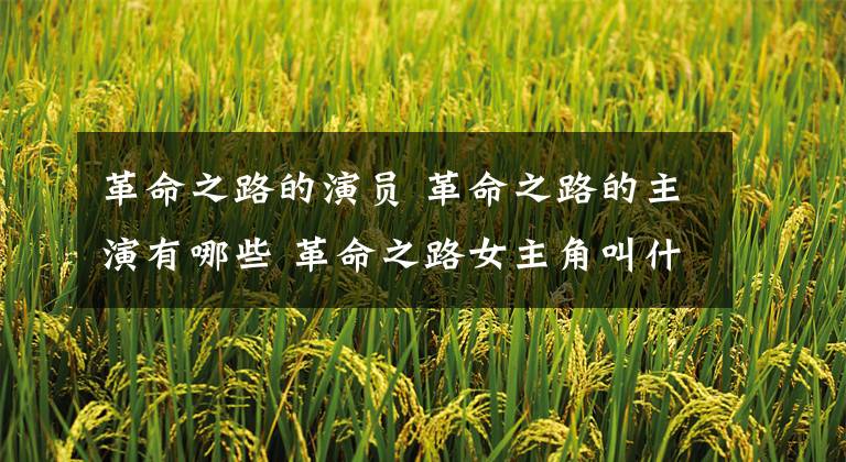 革命之路的演员 革命之路的主演有哪些 革命之路女主角叫什么