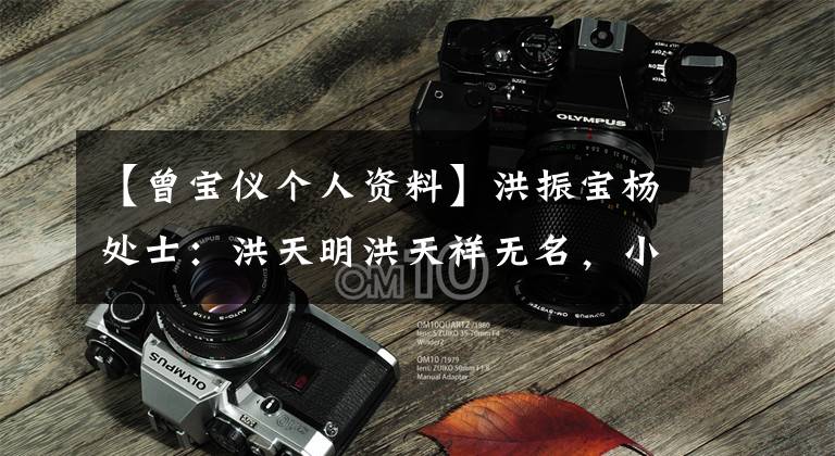 【曾宝仪个人资料】洪振宝杨处士：洪天明洪天祥无名，小女儿36岁未婚。