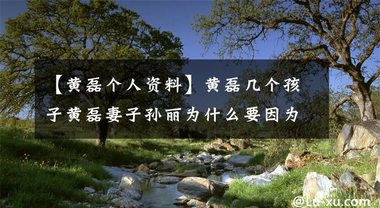 【黄磊个人资料】黄磊几个孩子黄磊妻子孙丽为什么要因为黄磊而生孩子?