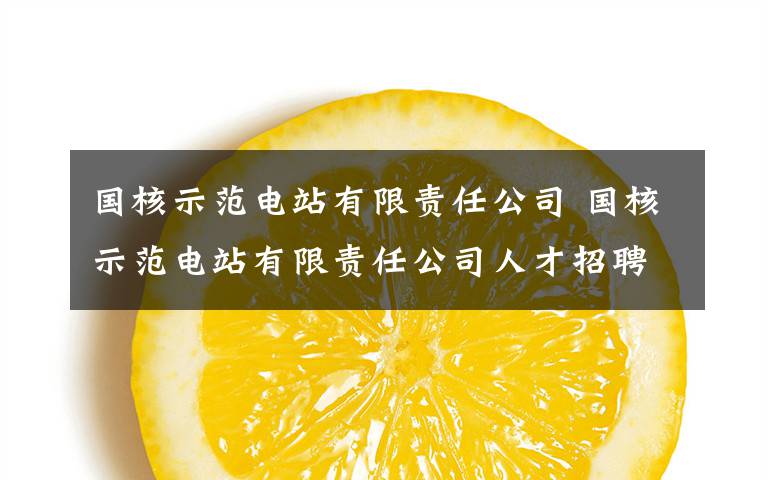 国核示范电站有限责任公司 国核示范电站有限责任公司人才招聘公告