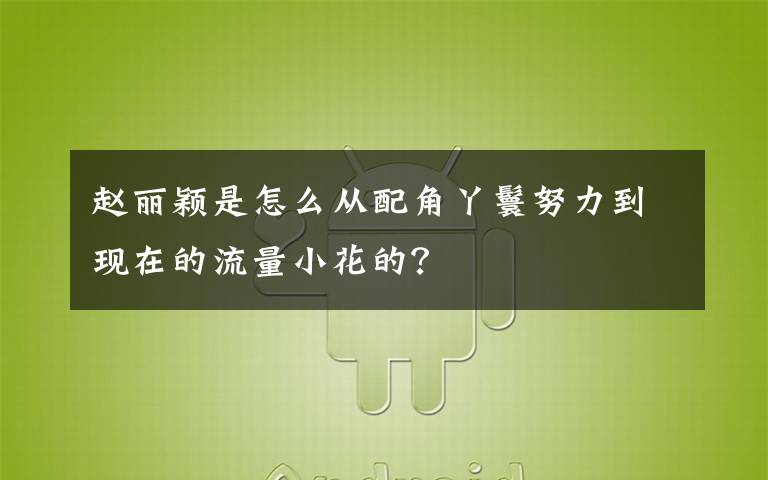 赵丽颖是怎么从配角丫鬟努力到现在的流量小花的?