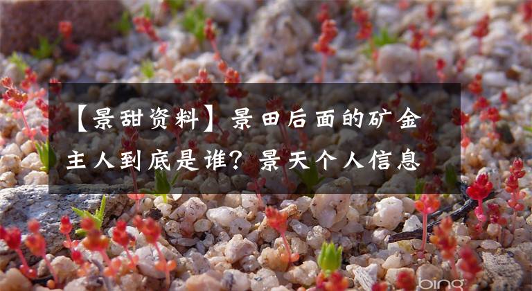 【景甜资料】景田后面的矿金主人到底是谁?景天个人信息的神秘背景力量令人钦佩