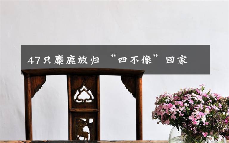 47只麋鹿放归 “四不像”回家