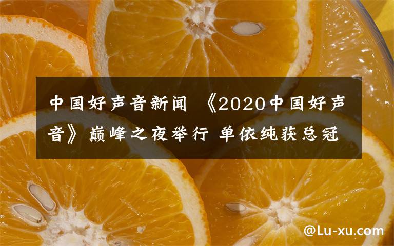 中国好声音新闻 《2020中国好声音》巅峰之夜举行 单依纯获总冠军