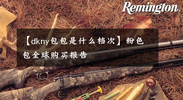 【dkny包包是什么档次】粉色包全球购买报告