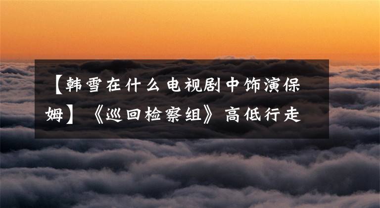 【韩雪在什么电视剧中饰演保姆】《巡回检察组》高低行走,韩雪四大诟病可能是6.5分的主要原因