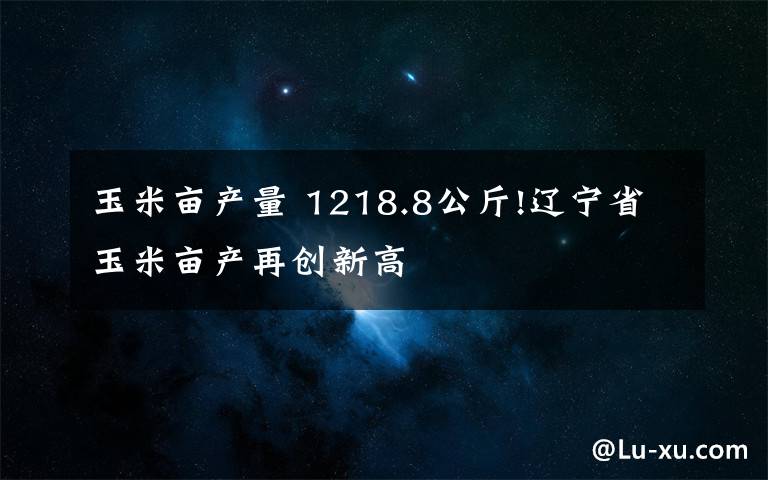 玉米亩产量 1218.8公斤!辽宁省玉米亩产再创新高