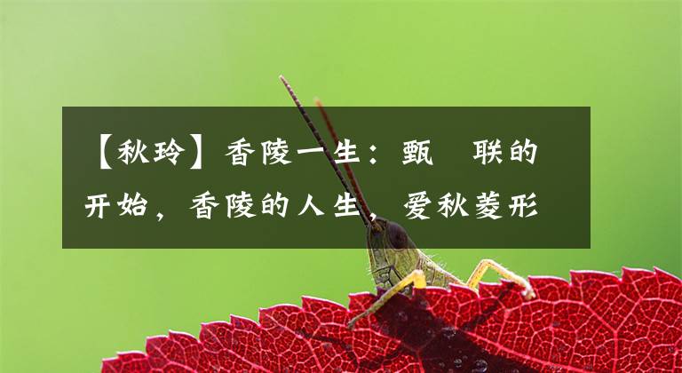 【秋玲】香陵一生:甄嬛联的开始,香陵的人生,爱秋菱形的结局。