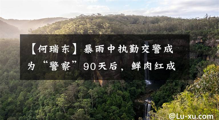 【何瑞东】暴雨中执勤交警成为“警察”90天后,鲜肉红成了网