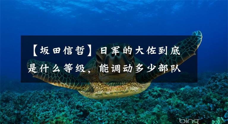 【坂田信哲】日军的大佐到底是什么等级，能调动多少部队？