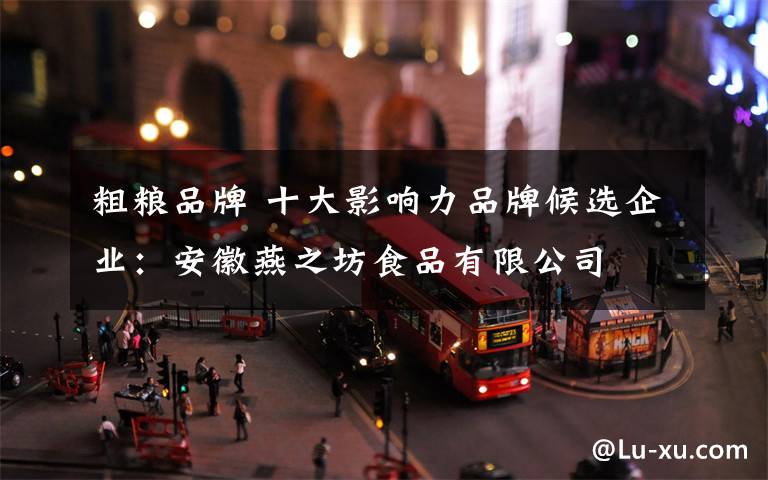 粗粮品牌 十大影响力品牌候选企业:安徽燕之坊食品有限公司