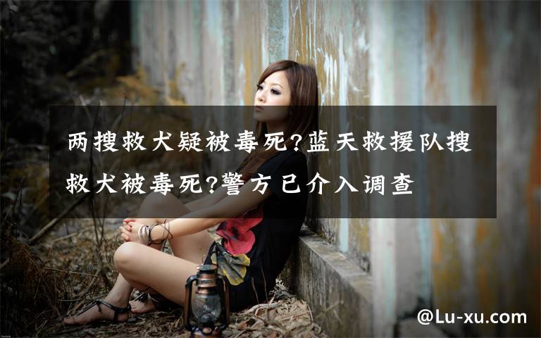 两搜救犬疑被毒死?蓝天救援队搜救犬被毒死?警方已介入调查