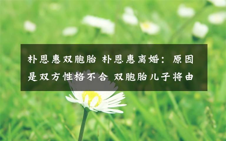 朴恩惠双胞胎 朴恩惠离婚:原因是双方性格不合 双胞胎儿子将由女方抚养