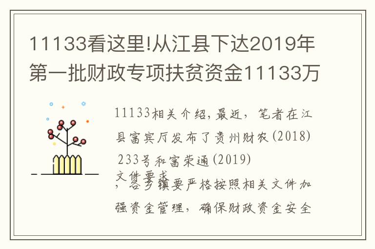 11133看这里!从江县下达2019年第一批财政专项扶贫资金11133万元