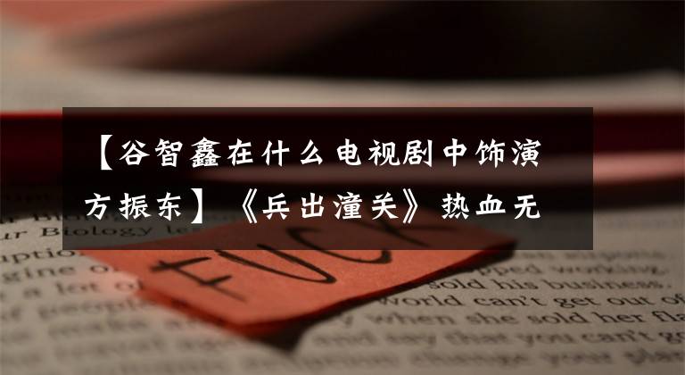 【谷智鑫在什么电视剧中饰演方振东】《兵出潼关》热血无敌谷志信杨一栋奉化子女爱情
