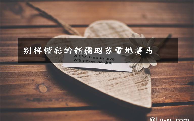 别样精彩的新疆昭苏雪地赛马