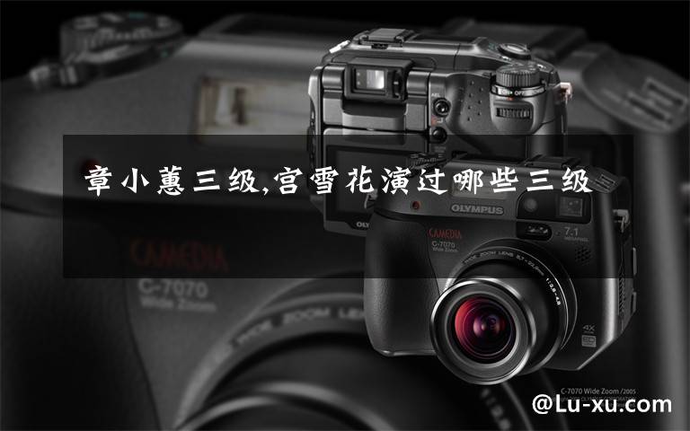 章小蕙三级,宫雪花演过哪些三级