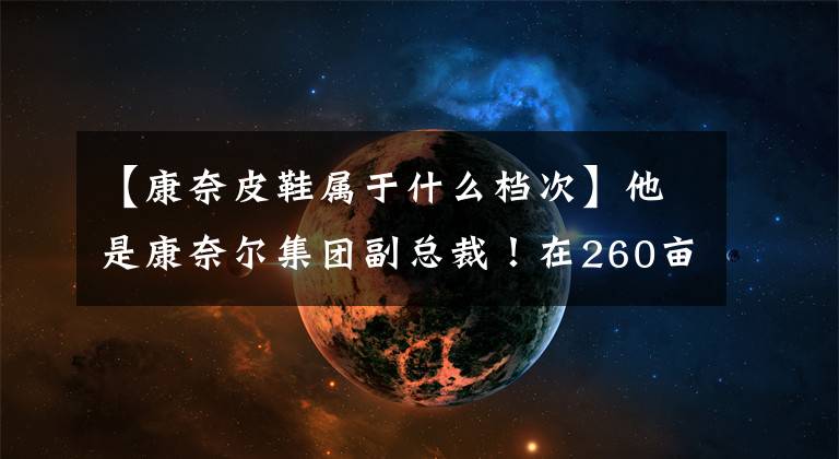 【康奈皮鞋属于什么档次】他是康奈尔集团副总裁!在260亩杂草地上建厂,实现产值1亿元。
