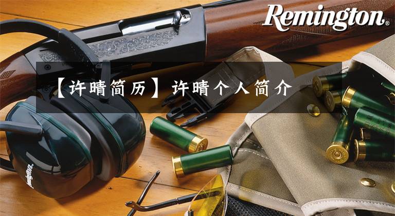 【许晴简历】许晴个人简介