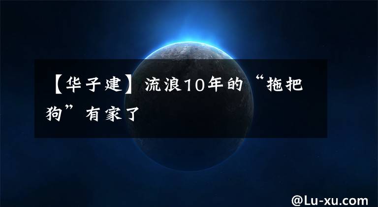 【华子建】流浪10年的“拖把狗”有家了