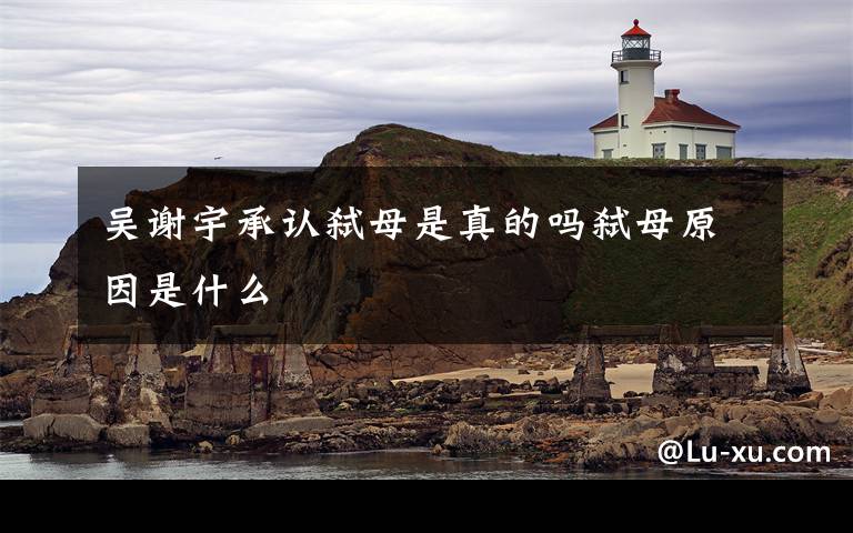 吴谢宇承认弑母是真的吗弑母原因是什么