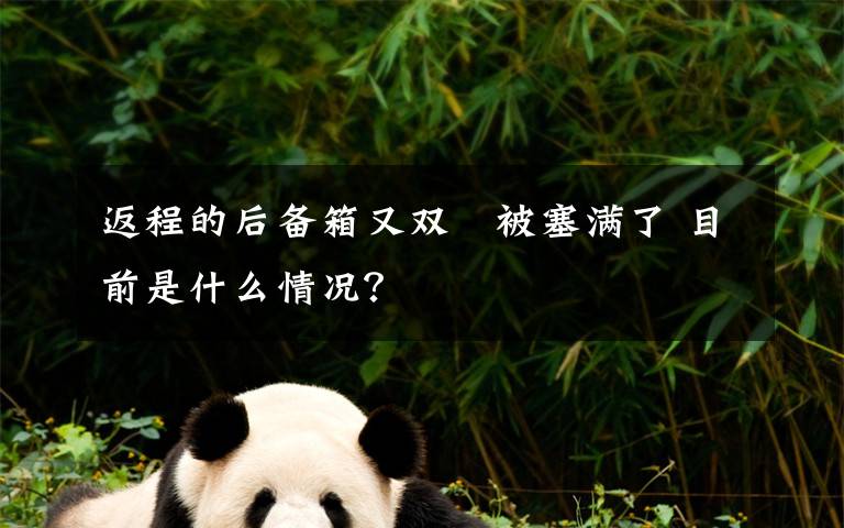 返程的后备箱又双叒被塞满了 目前是什么情况?
