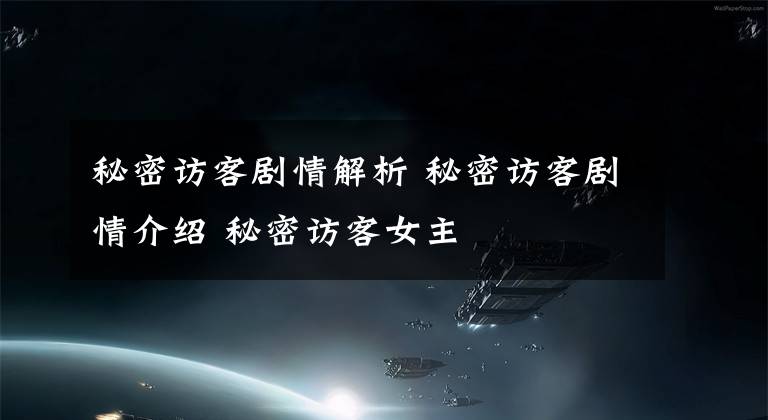 秘密访客剧情解析 秘密访客剧情介绍 秘密访客女主