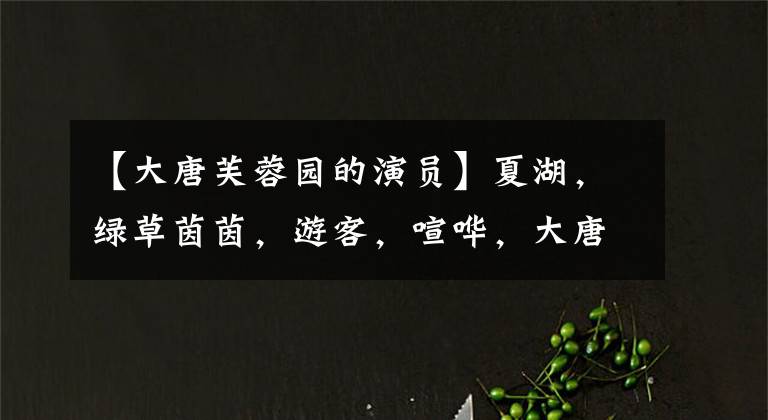 【大唐芙蓉园的演员】夏湖，绿草茵茵，游客，喧哗，大唐芙蓉园为黄义军拍照。