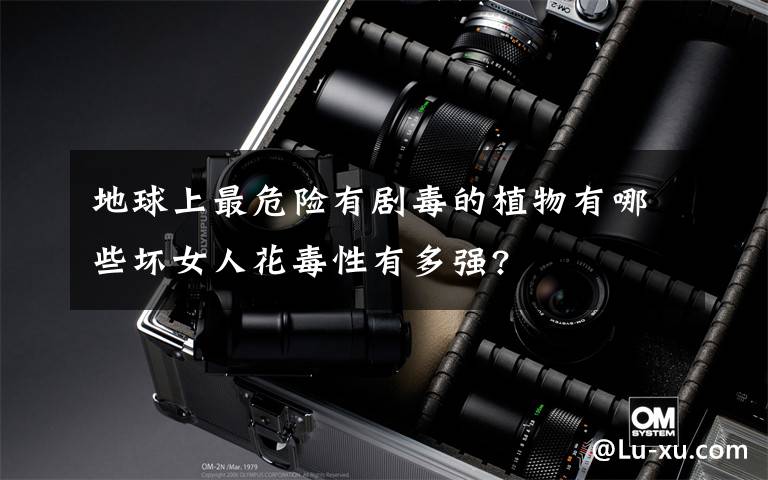 地球上最危险有剧毒的植物有哪些坏女人花毒性有多强?
