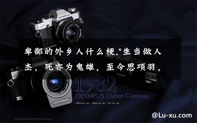 卑鄙的外乡人什么梗,