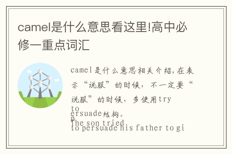 camel是什么意思看这里!高中必修一重点词汇