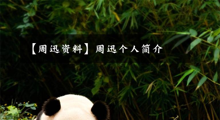 【周迅资料】周迅个人简介