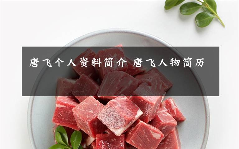 唐飞个人资料简介 唐飞人物简历