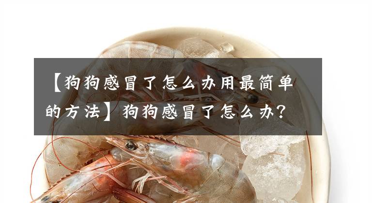 【狗狗感冒了怎么办用最简单的方法】狗狗感冒了怎么办？