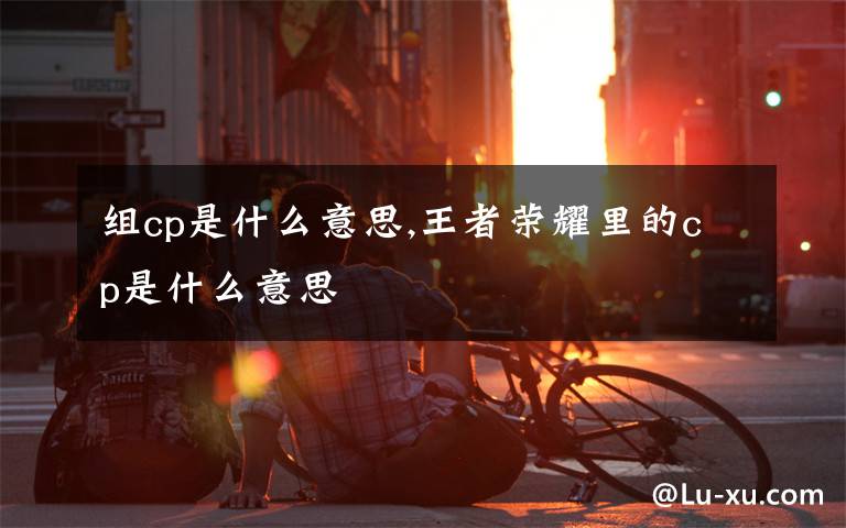 组cp是什么意思,王者荣耀里的cp是什么意思
