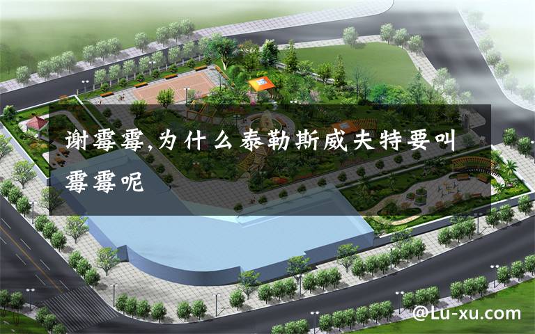 谢霉霉,为什么泰勒斯威夫特要叫霉霉呢