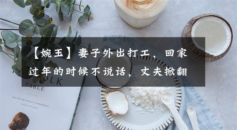 【婉玉】妻子外出打工,回家过年的时候不说话,丈夫掀翻凳子报了警