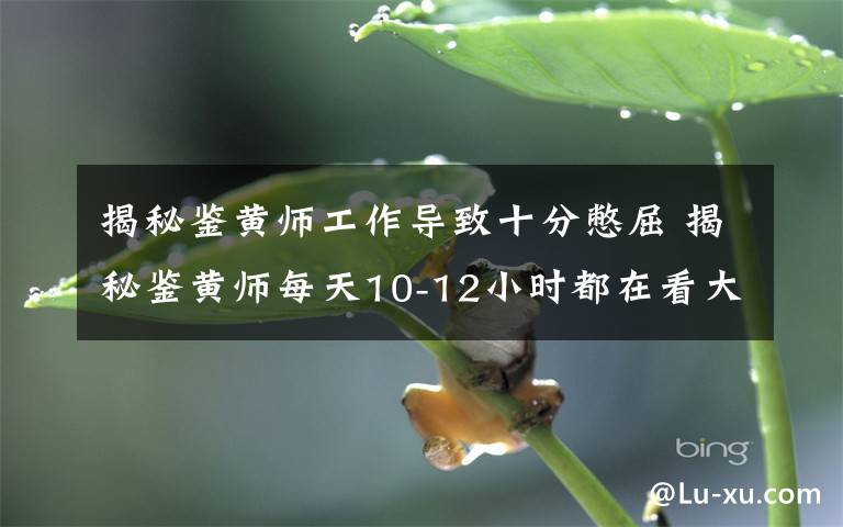 揭秘鉴黄师工作导致十分憋屈 揭秘鉴黄师每天10-12小时都在看大尺度图片!