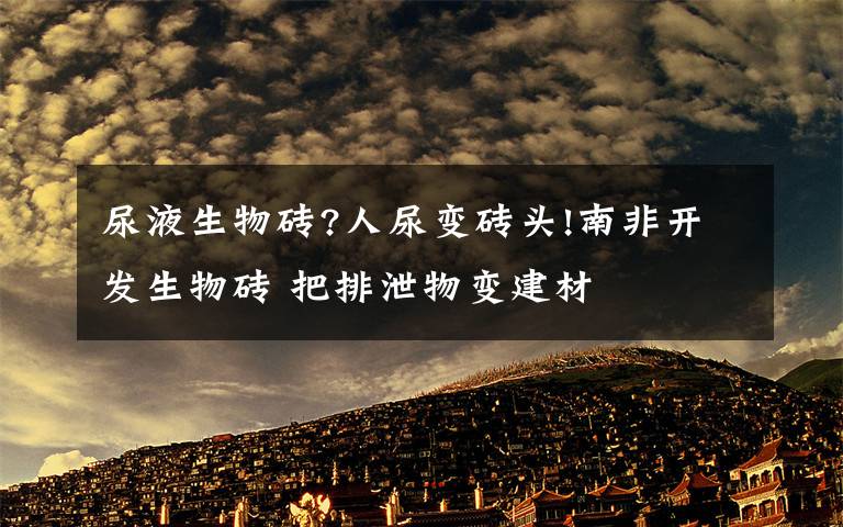 尿液生物砖?人尿变砖头!南非开发生物砖 把排泄物变建材