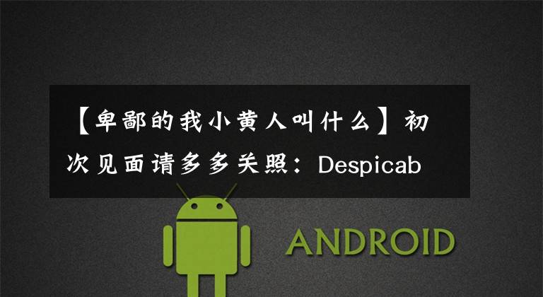 【卑鄙的我小黄人叫什么】初次见面请多多关照:Despicable Me 2火灾版小黄人