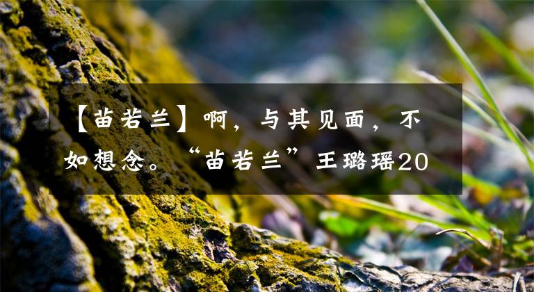 【苗若兰】啊，与其见面，不如想念。“苗若兰”王璐瑶20多年后唱了《追梦人》。