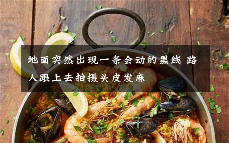 地面突然出现一条会动的黑线 路人跟上去拍摄头皮发麻